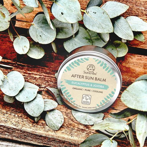 SUNTRIBE - After Sun Balm Eucalyptus & Jojoba-Suntribe